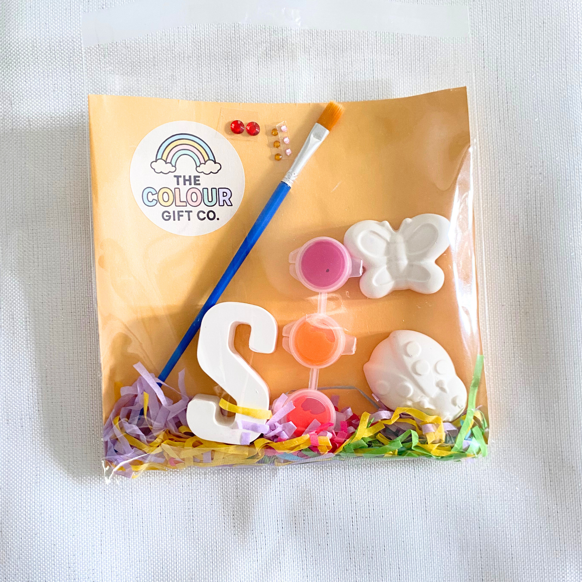 Ladybird and butterfly mini paint kit with two garden-themed moulds, an initial and paints